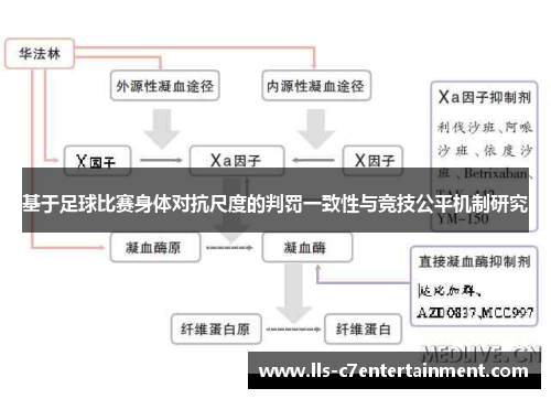 基于足球比赛身体对抗尺度的判罚一致性与竞技公平机制研究